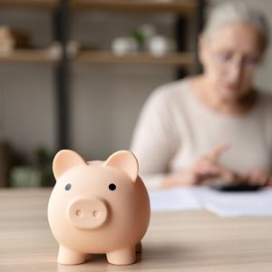 Personal accountant - Piggy bank